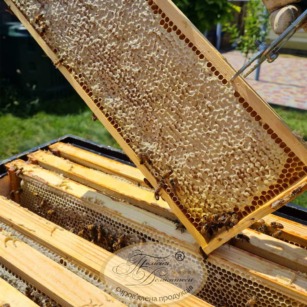 НАТУРАЛЬНИЙ МЕД